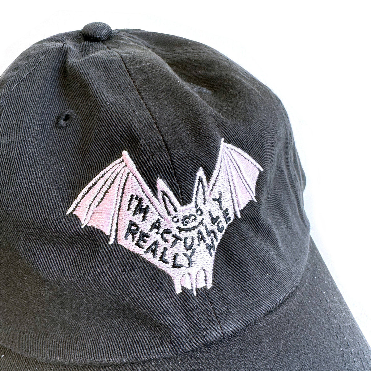 I'm Actually Really Nice Bat Hat – The Gamble House Bookstore