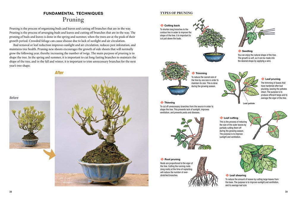 bonsai tree process Bonsai Master Class – The Gamble House Bookstore